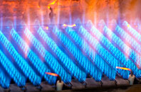 Walkhampton gas fired boilers